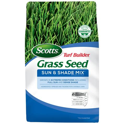 Scotts sun and shade grass seed. Things To Know About Scotts sun and shade grass seed. 